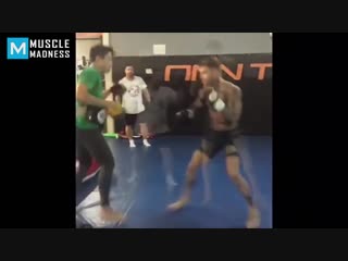 From prospect to ufc champion cody garbrandt muscle madness