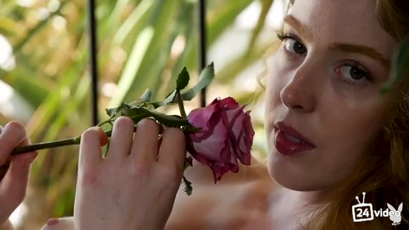 Erna o hara romanticheskiy polden
