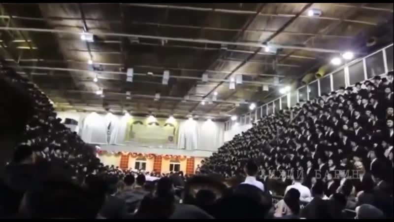 Хасиды хабадники завещание шнеерсон смотреть всем