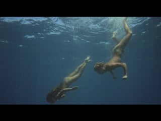 Голубая лагуна / the blue lagoon (1980)