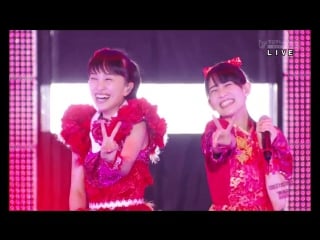 Koi no hime hime pettanko team akarenjai (momota kanako, akimoto honoka) gf2016 day3