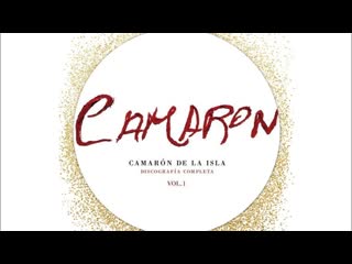 Camaron, llorando me lo pedia ( fandangos, paco de lucia )