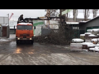 Спиливание деревьев “переезд воронеж”