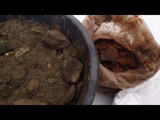 [golden channel] золото за один день