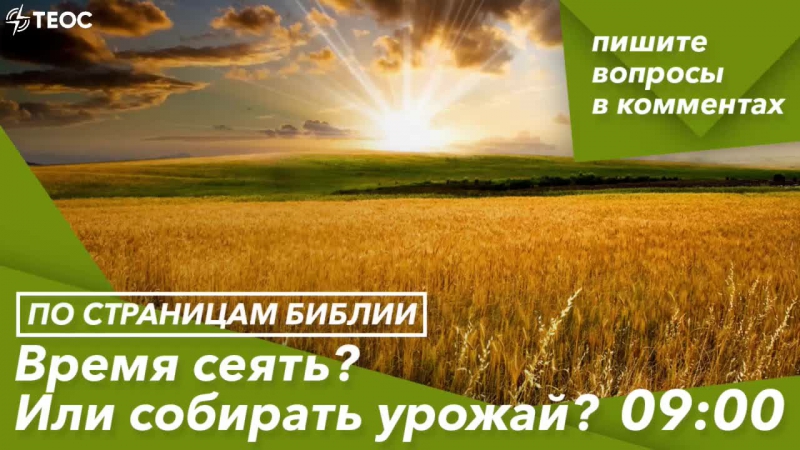 Время сеять? или собирать урожай?