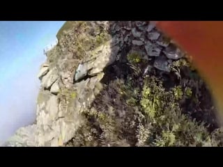 Наглая чайка попыталась спиздить камеру, но пришла к просветлению и решила отдать ее