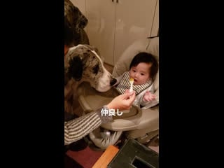 Takagi manpei / shinpei