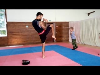 Постаноа ударной техники