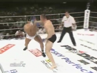 Мирко кро коп