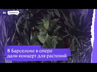 Концерт для 2292 комнатных растений