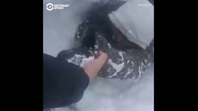 Снежные бураны в казахстане