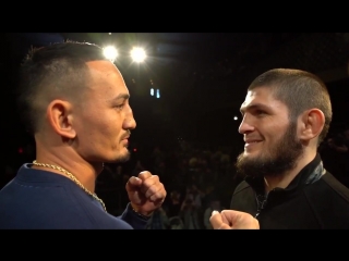 Битва взглядов khabib vs holloway