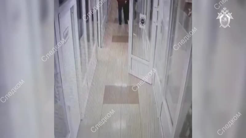 В ленинградской области муж пришел к бывшей жене на работу, выстрелил из пистолета несчастной в лицо и добил топором