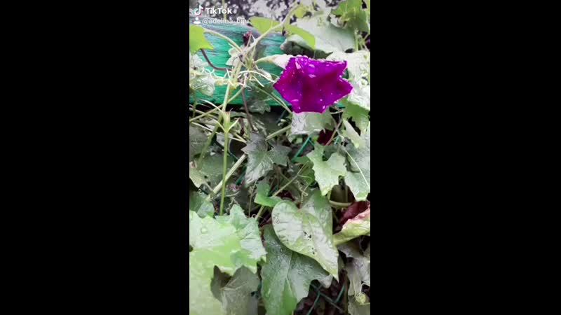 Раки татарские дема уфа