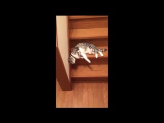 Когда вторник, а ты еще от выходных не отошел