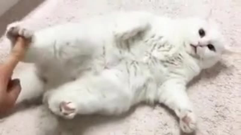 Не трогай меня, отвали, убери руку, отстань, уйди от меня, не беспокой меня, пошел вон!