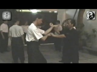 Dai sifu duong tuan 108 forms training đại võ sư dương tuấn đối luyện bài quyền 108