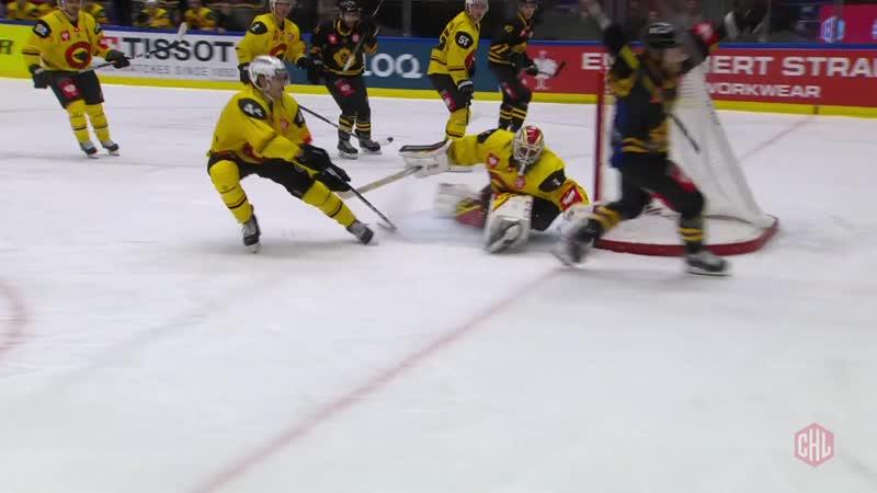 Skellefteå aik sc bern