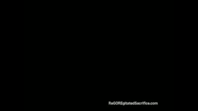 Sacrifice porn video – Regoregitated sacrifice