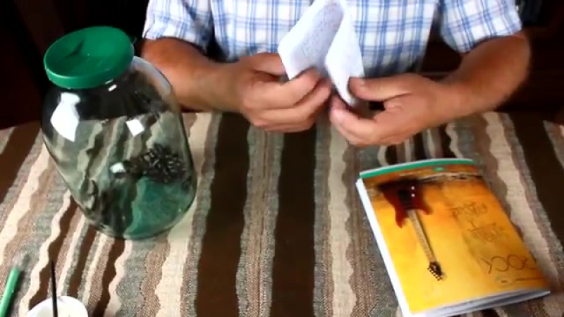 Видеоблогер пенсионер избавился от двойки с помощью тараканов