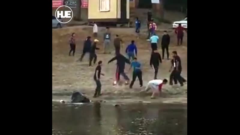 Убийцы борца юрия власко отправятся за решётку на большие сроки