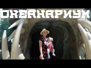 Vlog #19 океанариум (не опять, а снова)