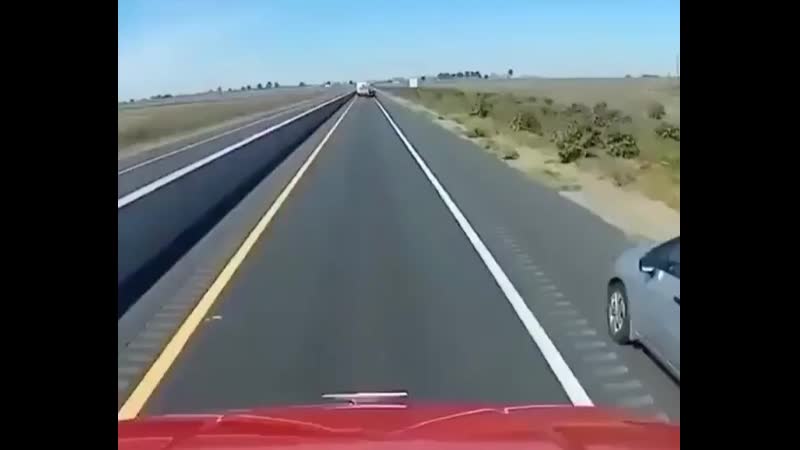 Черти сука!