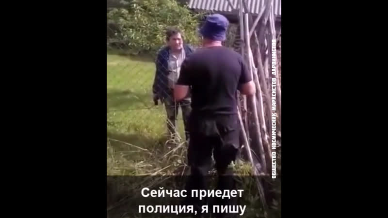 Дачники сезон 2021 территориальные стычки