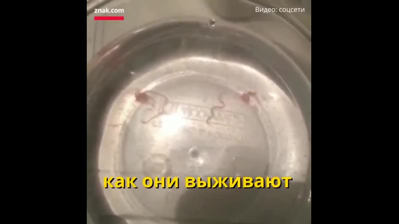 Странные вещи происходят