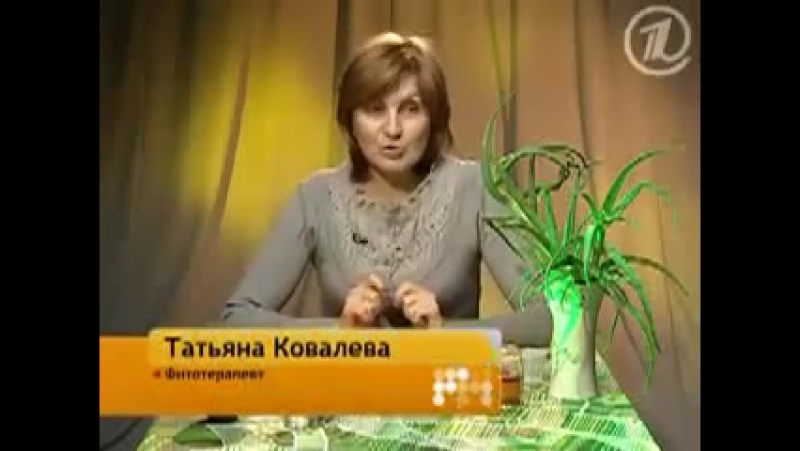 Алоэ porn video – Целебные свойства алоэ