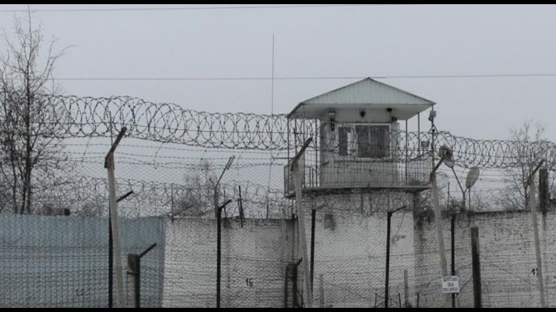 Что происходит в калужской ик 3, где, по данным адвоката, около 60 заключенных вскрыли вены?