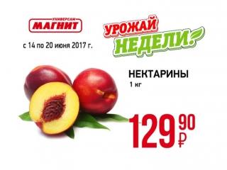 Magnit un 10 nekt 129,