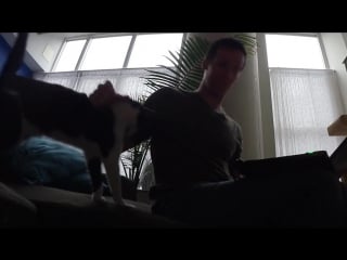 Самый нуждающийся в ласке котик