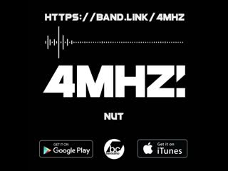 4mhz nut