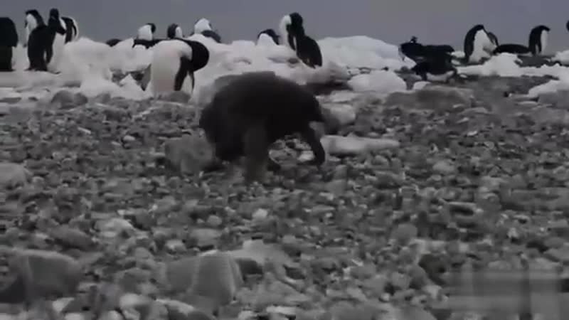 Как я заебался идти