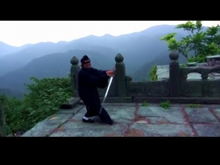 Wudang taiji sword 2