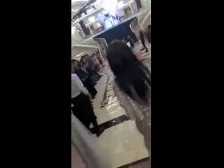 Videocutter ееее mp4 360 mp4