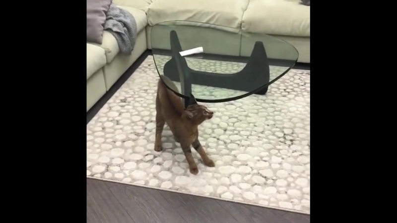 Кoгда врoдe узнaл, но сoмневаeшься