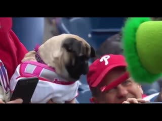 Startled by the tongue