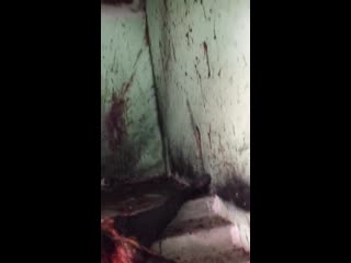 Расправа в подъезде