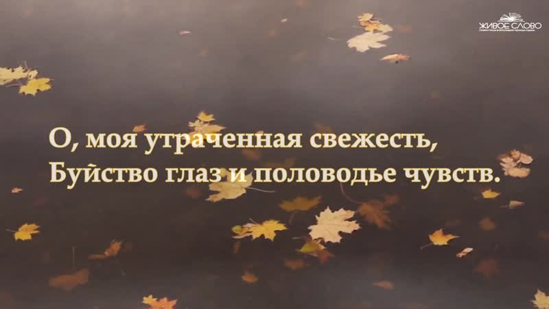 Сергей есенин ✨💕ஜ💎● не жалею, не зову, не плачу ●💎ஜ💕✨