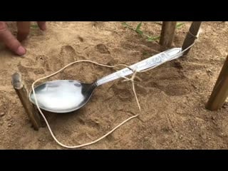 Bird trap make from two spoons /​​​​​​​​ you know about how to create this bird trap ? bird trap make from two spoons /​​​​​​​​