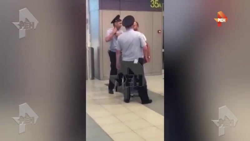 "золотая молодежь" устроила пьяный дебош в аэропорту домодедово