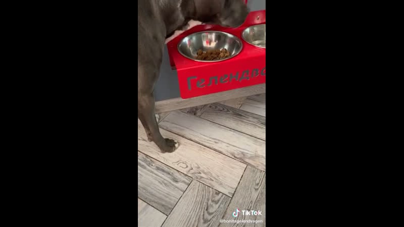 Оху*енный хавчик 😁