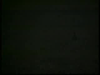 Shamil oskar ne nado(без цензуры)