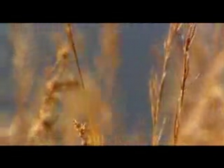 Bbc людоеды серия 2