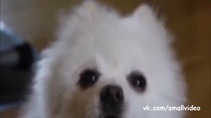 Опять упоролся?