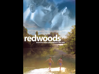 Секвойи вечнозеленые (redwoods 2009)