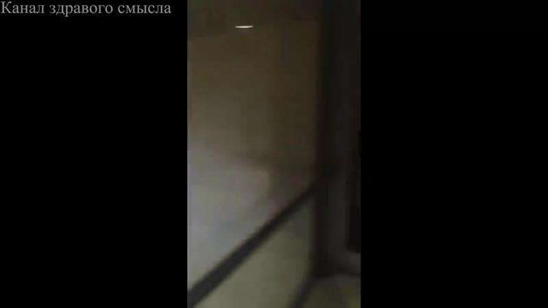 Маэстро негодуе