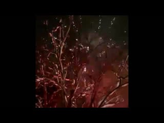 Новогодний салют в комарово